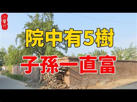 後院種樹風水|【後院樹木 風水】風水專欄 